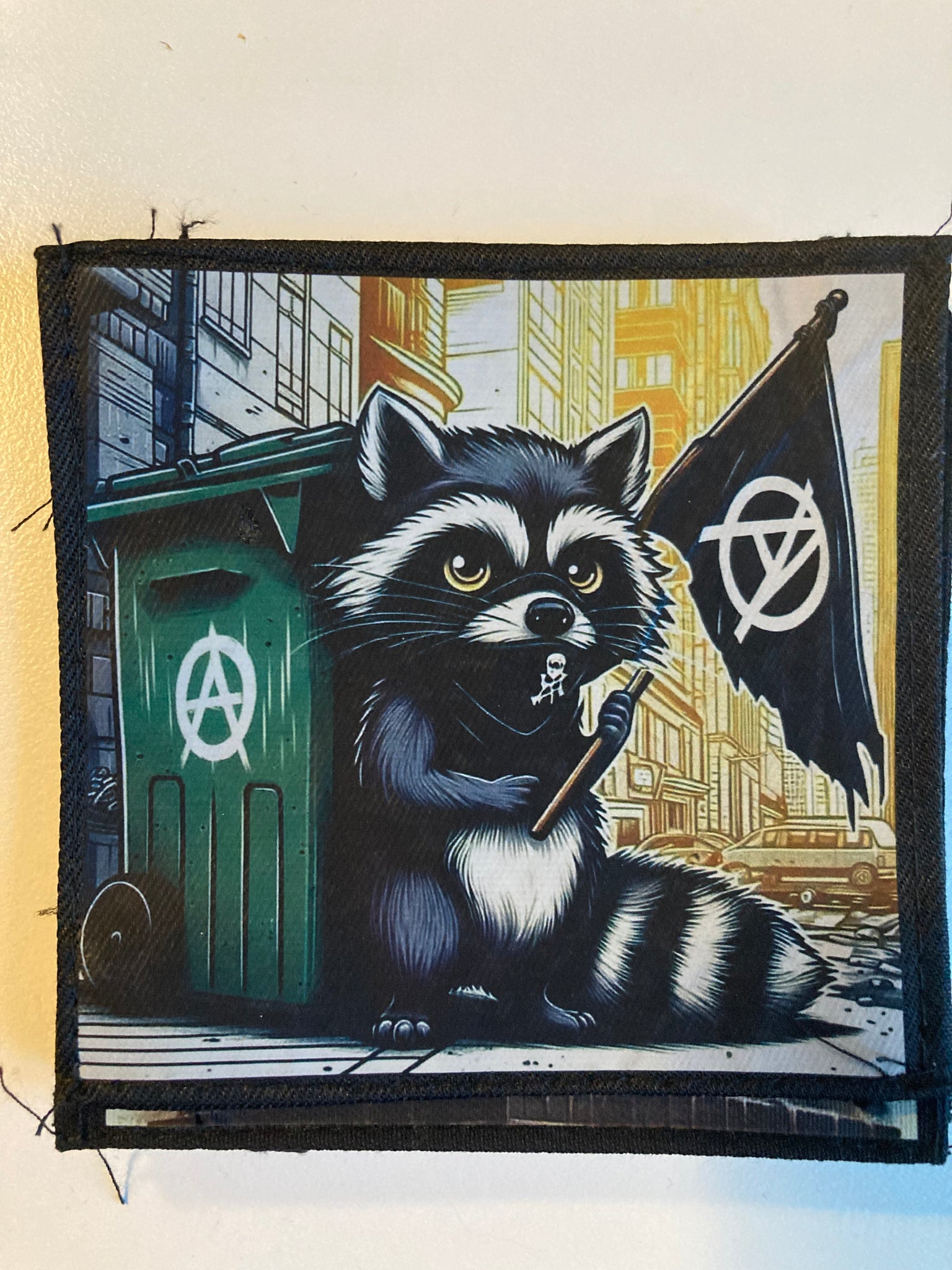 Anarchy raccoon