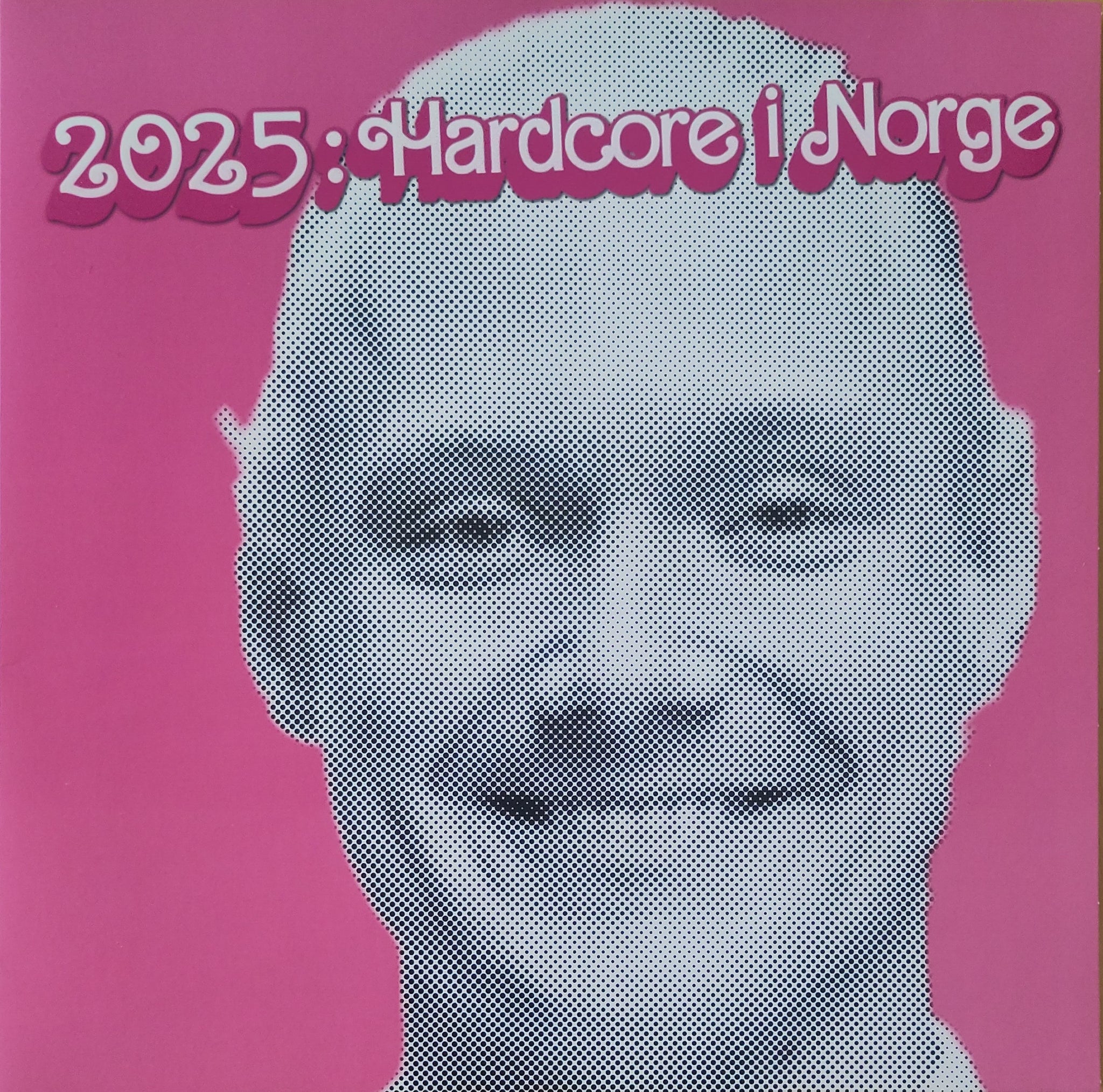Various - 2025: Hardcore i Norge (LP)