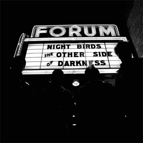 Night Birds - The Other Side Of Darkness (LP)