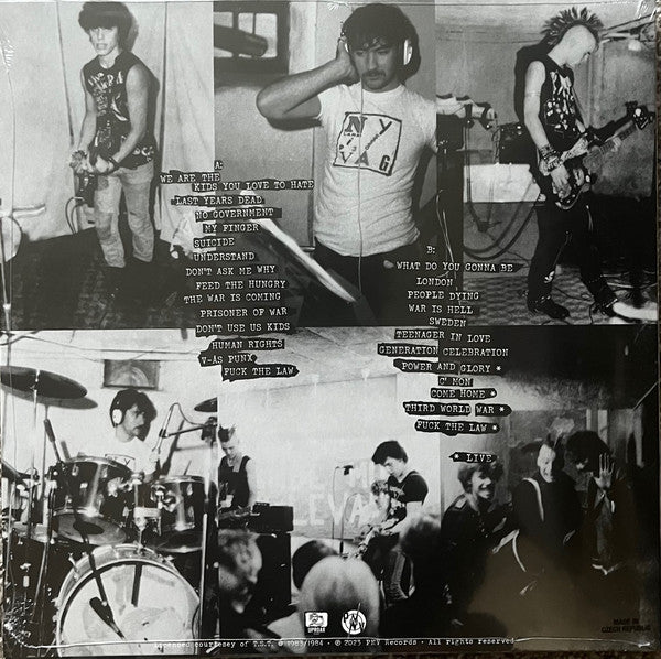 T.S.T ‎– The Kids You Love To Hate (LP)