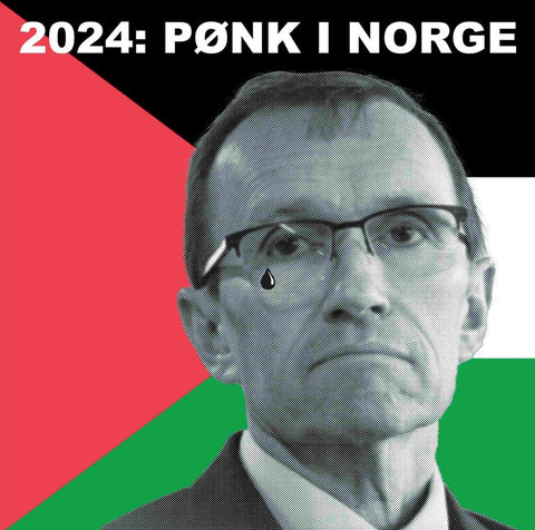 Various - 2024: Pønk I Norge - LTD (LP)