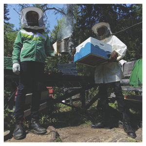 Lyngfarer/Windthrown ‎- Beekeeping (LP)