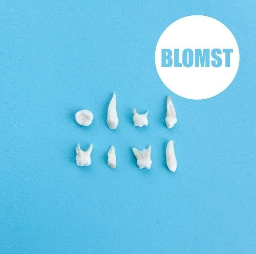 Blomst - Blomst (CD)